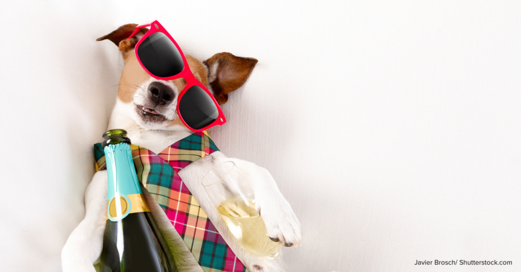 Hangover Begone! 5 Ways on How to Sober Up Fast